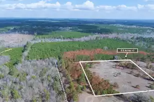 05 Pompey Rd, Manning, SC 29102 - Photo 3