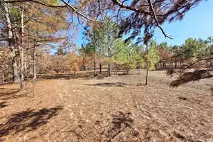 00 Pompey Rd, Manning, SC 29102 - Photo 1