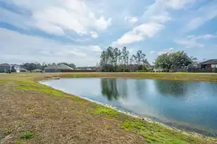 440 Blue Elderberry Run, Moncks Corner, SC 29461 - Photo 55