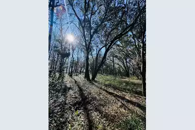 0 Rosa Scott Road, Edisto Island, SC 29438 - Photo 5