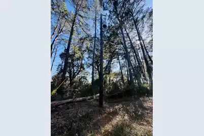 0 Rosa Scott Road, Edisto Island, SC 29438 - Photo 15