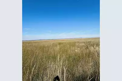 0 Rosa Scott Road, Edisto Island, SC 29438 - Photo 7