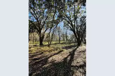 0 Rosa Scott Road, Edisto Island, SC 29438 - Photo 3