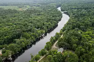 197 Hideaway Ln, Ridgeville, SC 29472 - Photo 107