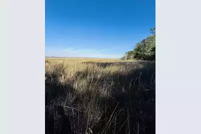 00 Rosa Scott Road, Edisto Island, SC 29438 - Photo 9