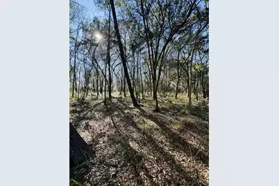 00 Rosa Scott Road, Edisto Island, SC 29438 - Photo 17