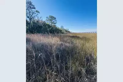 00 Rosa Scott Road, Edisto Island, SC 29438 - Photo 7