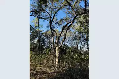 00 Rosa Scott Road, Edisto Island, SC 29438 - Photo 15