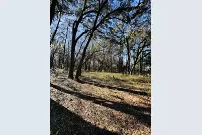 00 Rosa Scott Road, Edisto Island, SC 29438 - Photo 3
