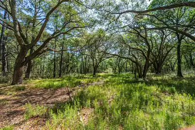 0 King Rail Lane, Edisto Island, SC 29438 - Photo 19