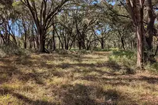 0 King Rail Ln, Edisto Island, SC 29438 - Photo 15