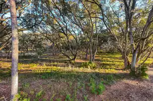 0 King Rail Ln, Edisto Island, SC 29438 - Photo 9