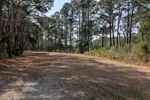 0 King Rail Ln, Edisto Island, SC 29438 - Photo 61