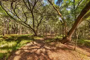 0 King Rail Ln, Edisto Island, SC 29438 - Photo 39
