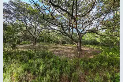 0 King Rail Lane, Edisto Island, SC 29438 - Photo 21