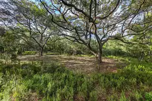 0 King Rail Ln, Edisto Island, SC 29438 - Photo 21