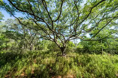 0 King Rail Lane, Edisto Island, SC 29438 - Photo 5
