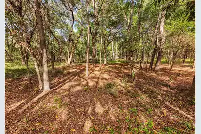 0 King Rail Lane, Edisto Island, SC 29438 - Photo 31
