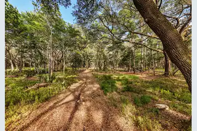 0 King Rail Lane, Edisto Island, SC 29438 - Photo 27