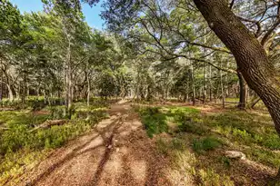0 King Rail Ln, Edisto Island, SC 29438 - Photo 27