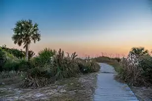 0 King Rail Ln, Edisto Island, SC 29438 - Photo 85