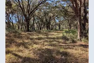 0 King Rail Lane, Edisto Island, SC 29438 - Photo 61