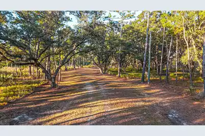 0 King Rail Lane, Edisto Island, SC 29438 - Photo 5