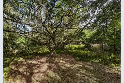 0 King Rail Lane, Edisto Island, SC 29438 - Photo 21
