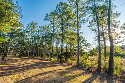 0 King Rail Lane, Edisto Island, SC 29438 - Photo 7