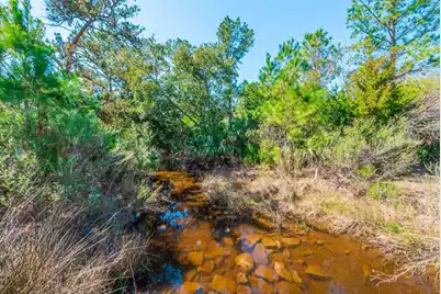 0 King Rail Lane, Edisto Island, SC 29438 - Photo 11