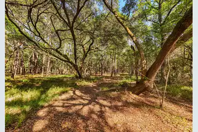 0 King Rail Lane, Edisto Island, SC 29438 - Photo 37