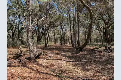 0 King Rail Lane, Edisto Island, SC 29438 - Photo 47