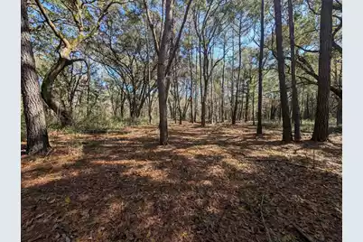 0 King Rail Lane, Edisto Island, SC 29438 - Photo 49