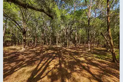 0 King Rail Lane, Edisto Island, SC 29438 - Photo 39