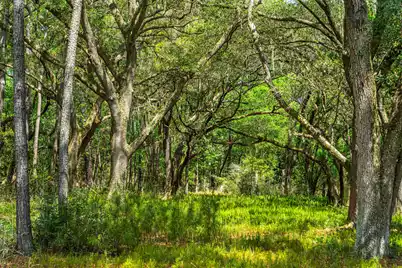 0 King Rail Lane, Edisto Island, SC 29438 - Photo 27
