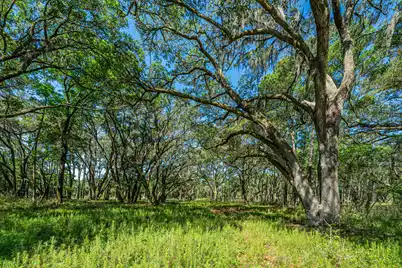 0 King Rail Lane, Edisto Island, SC 29438 - Photo 17