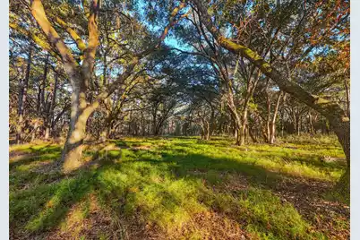 0 King Rail Lane, Edisto Island, SC 29438 - Photo 1