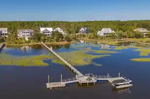 4638 Cape Island Dr, Awendaw, SC 29429 - Photo 63