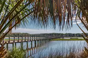 4638 Cape Island Dr, Awendaw, SC 29429 - Photo 7