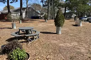 1327 Pinnacle Ln, Charleston, SC 29412 - Photo 43