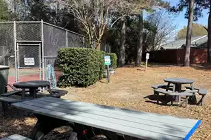 1327 Pinnacle Ln, Charleston, SC 29412 - Photo 41