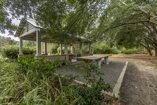 509 Chimney Bluff Dr, Mount Pleasant, SC 29464 - Photo 59