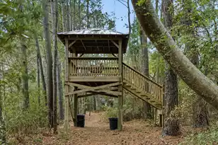 121 Jakes Ln, Mount Pleasant, SC 29464 - Photo 59