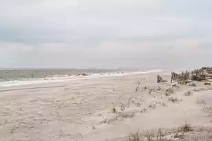 9000 Palmetto Dr, Isle Of Palms, SC 29451 - Photo 21