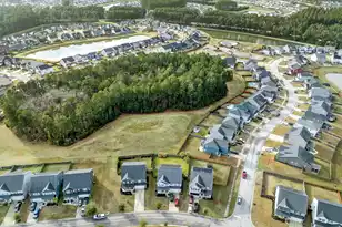 202 Basket Grass Ln, Summerville, SC 29486 - Photo 41