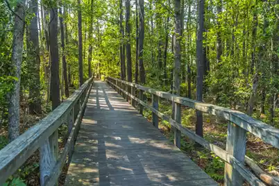 3004 Treadwell Street, Mount Pleasant, SC 29466 - Photo 59