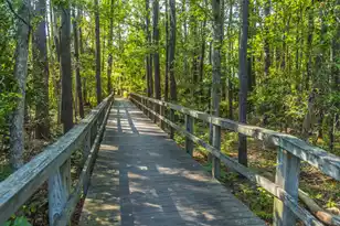 3004 Treadwell St, Mount Pleasant, SC 29466 - Photo 59
