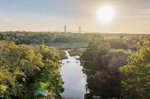 319 Hobcaw Dr, Mount Pleasant, SC 29464 - Photo 85