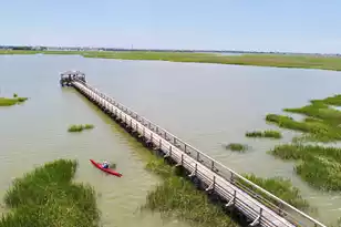 1551 Ben Sawyer Blvd, Mount Pleasant, SC 29464 - Photo 41