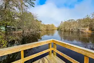 78 Badger Ln, Round O, SC 29474 - Photo 1